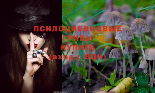 а пвп мука Балабаново