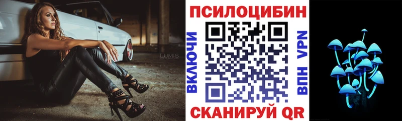 дарнет шоп  Тутаев  Галлюциногенные грибы Magic Shrooms 