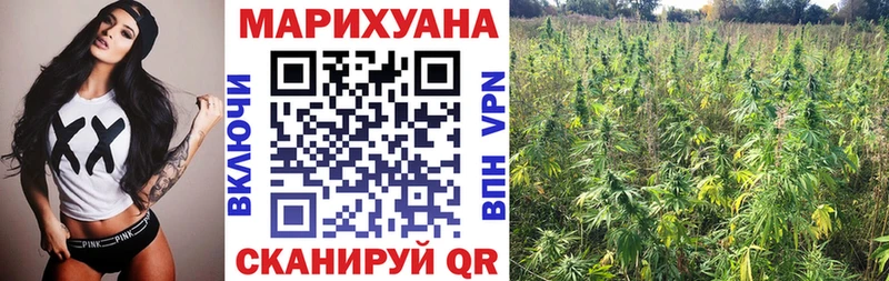 Бошки марихуана SATIVA & INDICA  Тутаев 
